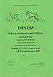 diplom