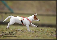 coursing