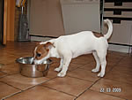 clea