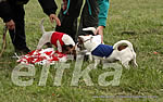 coursing