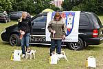 coursing