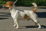 Coudy