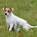 clea
