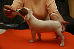 Abrix